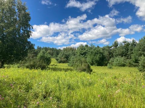 1951 E Mitchell Road Petoskey Mi 49770 Rd, Petoskey, MI 49770 photo 3