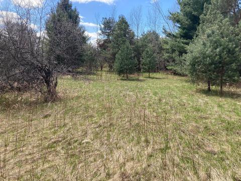 1951 E Mitchell Road Petoskey Mi 49770 Rd, Petoskey, MI 49770 photo 7