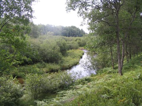 833 S Ausable Trl, Grayling, MI 49738 photo 4