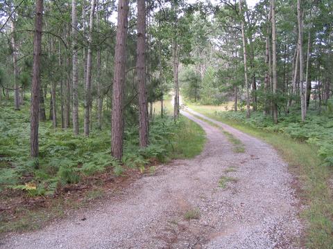 833 S Ausable Trl, Grayling, MI 49738 photo 8