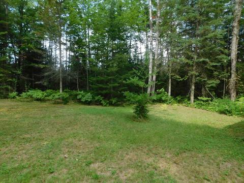 2085 Ryno Rd, Luzerne, MI 48636 photo 13