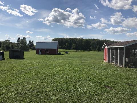 2295 Emig Rd, Comins, MI 48619 photo 33