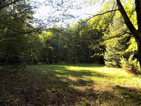 10286 Rust Rd, Hillman, MI 49746 photo 9