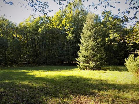 10286 Rust Rd, Hillman, MI 49746 photo 4
