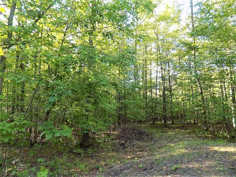 10286 Rust Rd, Hillman, MI 49746 photo 7