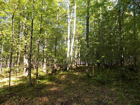 10286 Rust Rd, Hillman, MI 49746 photo 10