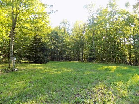 10286 Rust Rd, Hillman, MI 49746 photo 2