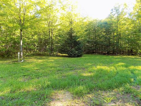 10286 Rust Rd, Hillman, MI 49746 photo 6