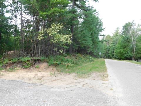 10417 Regimental Way, Grayling, MI 49738 photo 42