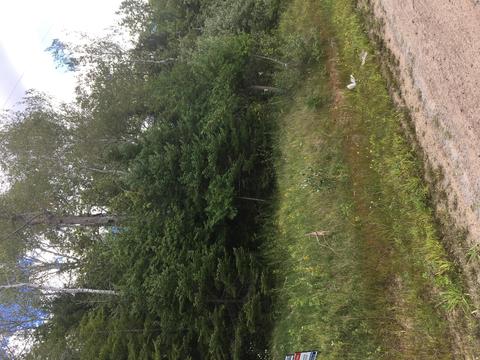 9339 Clewley Road Lachine Mi 49753 Rd, Lachine, MI 49753 photo 3