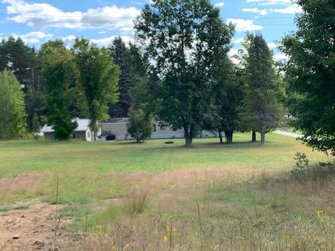 11416 Bilder Rd, Wolverine, MI 49799 photo 13