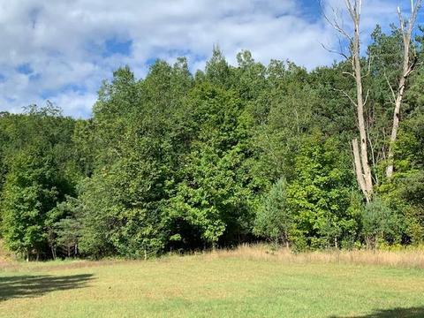 11416 Bilder Rd, Wolverine, MI 49799 photo 19