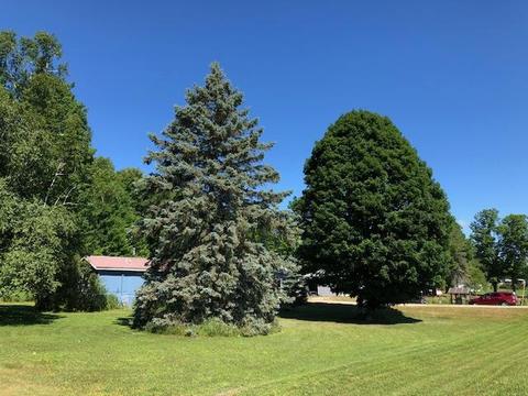 12142 Afton Rd, Wolverine, MI 49799 photo 22