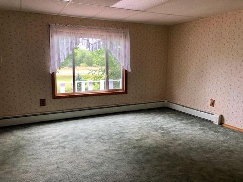 12142 Afton Rd, Wolverine, MI 49799 photo 10