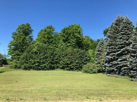 12142 Afton Rd, Wolverine, MI 49799 photo 21