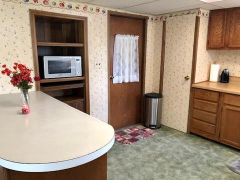 12142 Afton Rd, Wolverine, MI 49799 photo 8