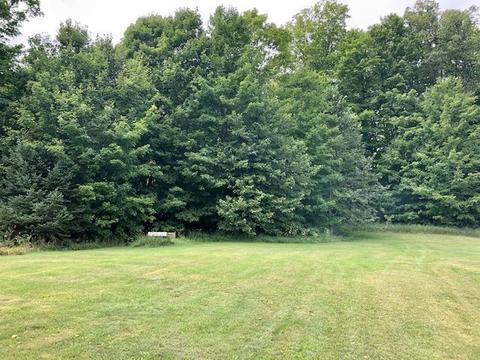 12142 Afton Rd, Wolverine, MI 49799 photo 25