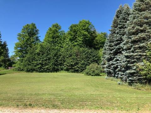 12142 Afton Rd, Wolverine, MI 49799 photo 20