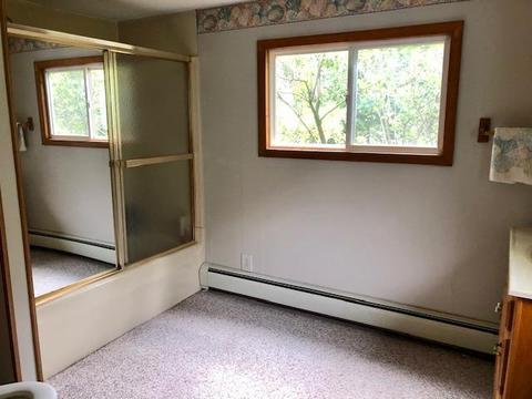 12142 Afton Rd, Wolverine, MI 49799 photo 15