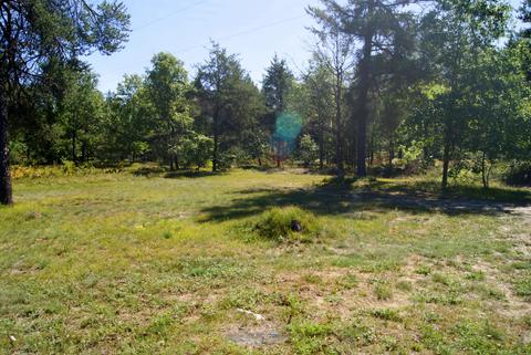 180 W Timber Trl, Grayling, MI 49738 photo 20