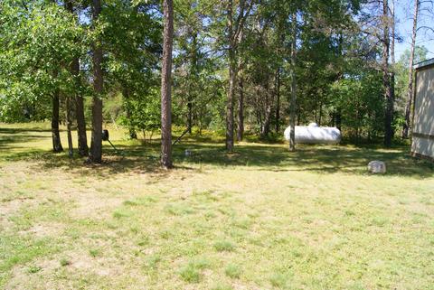 180 W Timber Trl, Grayling, MI 49738 photo 21