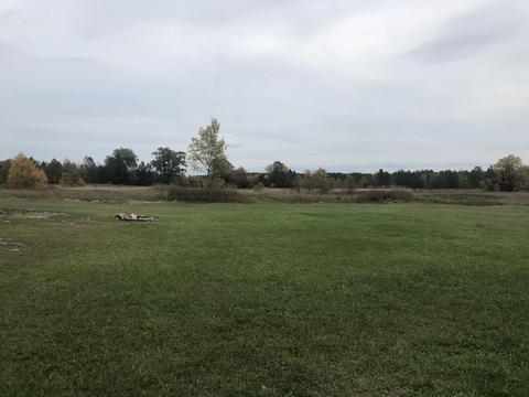6793 S Oak Rd, Grayling, MI 49738 photo 23