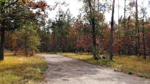 2271 Bell Road Grayling Mi 49738 Rd, Grayling, MI 49738 photo 48