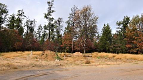 2271 Bell Road Grayling Mi 49738 Rd, Grayling, MI 49738 photo 47