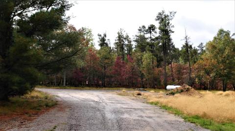 2271 Bell Road Grayling Mi 49738 Rd, Grayling, MI 49738 photo 46