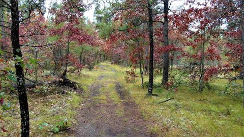 2271 Bell Road Grayling Mi 49738 Rd, Grayling, MI 49738 photo 32