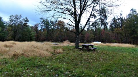 2271 Bell Road Grayling Mi 49738 Rd, Grayling, MI 49738 photo 50