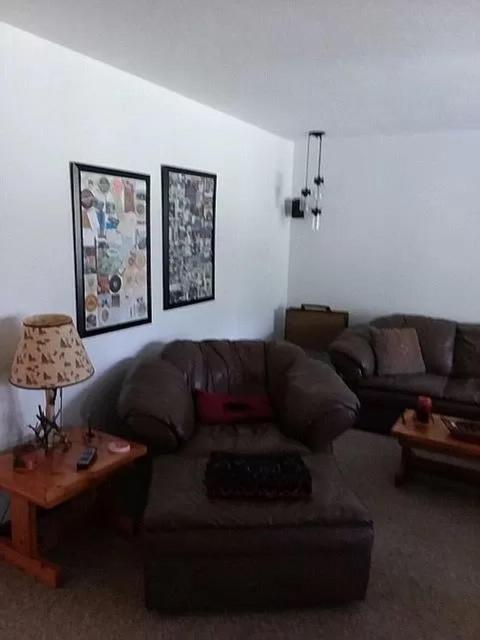 231 S Au Sable Trail Grayling Mi 49738 Trl, Grayling, MI 49738 photo 19