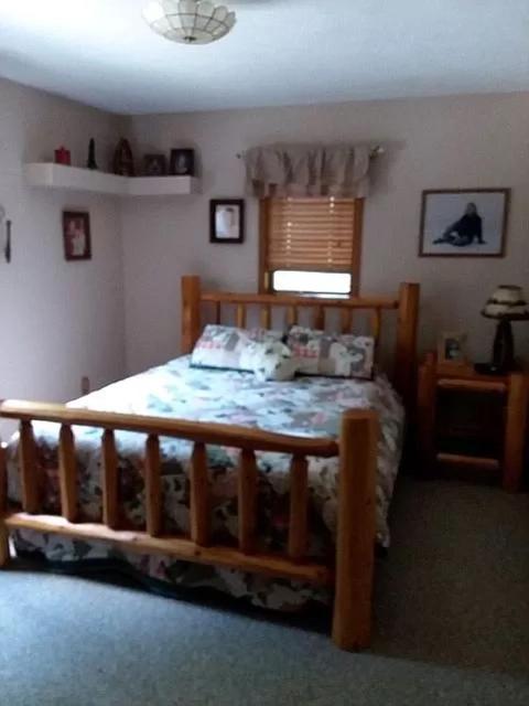 231 S Au Sable Trail Grayling Mi 49738 Trl, Grayling, MI 49738 photo 24