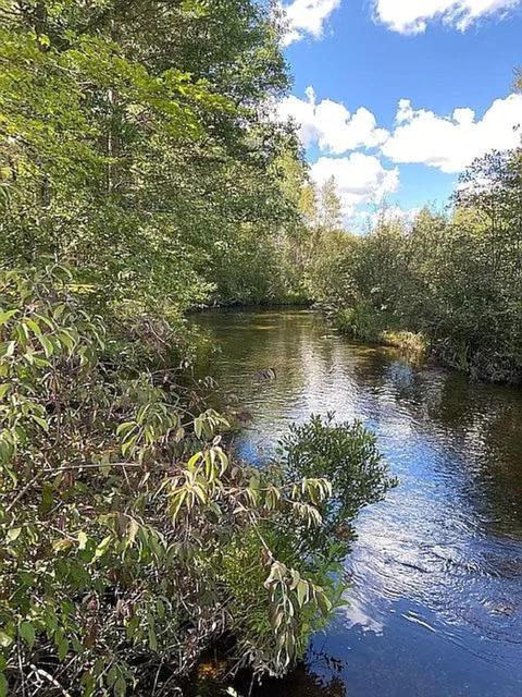 231 S Au Sable Trail Grayling Mi 49738 Trl, Grayling, MI 49738 photo 3
