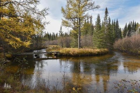 4151 Thunder Mug Rd, Grayling, MI 49738 photo 4