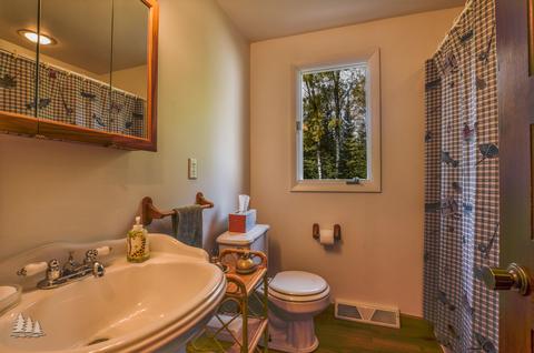 4151 Thunder Mug Rd, Grayling, MI 49738 photo 23