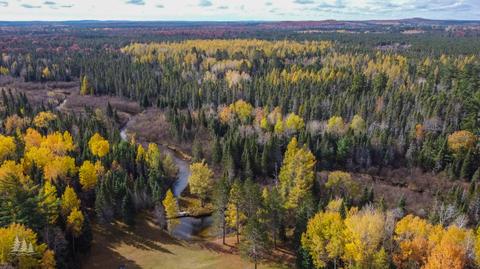 4151 Thunder Mug Rd, Grayling, MI 49738 photo 3