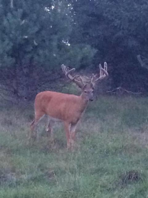 2950 Applegate Road Applegate Mi 48401 Rd, Applegate, MI 48401 photo 92