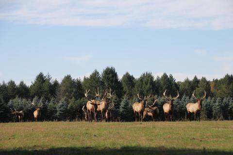 2950 Applegate Road Applegate Mi 48401 Rd, Applegate, MI 48401 photo 95