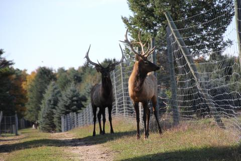 2950 Applegate Road Applegate Mi 48401 Rd, Applegate, MI 48401 photo 36