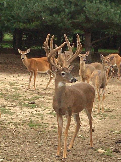 2950 Applegate Road Applegate Mi 48401 Rd, Applegate, MI 48401 photo 81