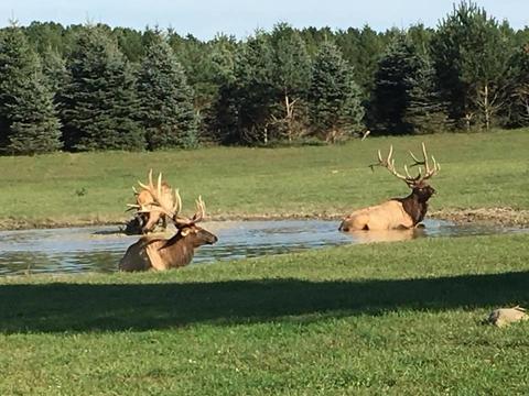 2950 Applegate Road Applegate Mi 48401 Rd, Applegate, MI 48401 photo 88