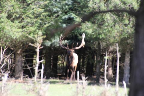 2950 Applegate Road Applegate Mi 48401 Rd, Applegate, MI 48401 photo 4