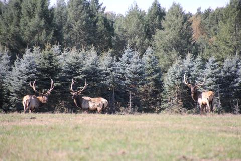 2950 Applegate Road Applegate Mi 48401 Rd, Applegate, MI 48401 photo 96
