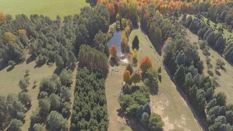 2950 Applegate Road Applegate Mi 48401 Rd, Applegate, MI 48401 photo 76