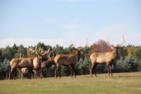2950 Applegate Road Applegate Mi 48401 Rd, Applegate, MI 48401 photo 53