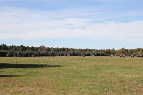 2950 Applegate Road Applegate Mi 48401 Rd, Applegate, MI 48401 photo 93