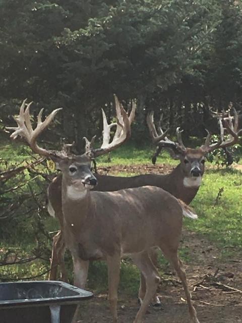 2950 Applegate Road Applegate Mi 48401 Rd, Applegate, MI 48401 photo 2