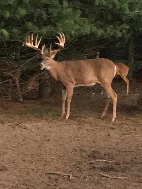 2950 Applegate Road Applegate Mi 48401 Rd, Applegate, MI 48401 photo 87