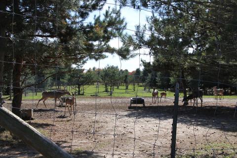 2950 Applegate Road Applegate Mi 48401 Rd, Applegate, MI 48401 photo 34